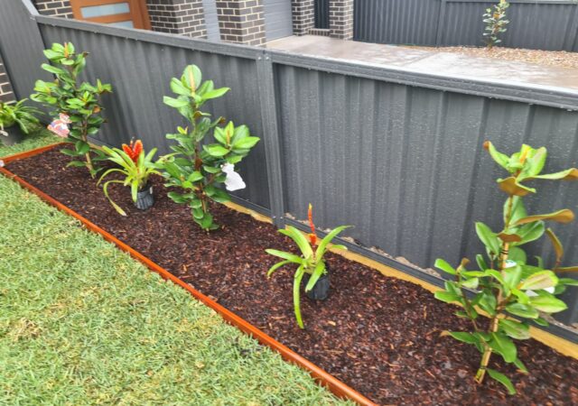 IMG-20241113-WA0005