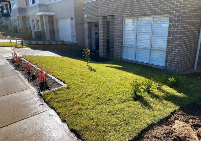 IMG-20241114-WA0010